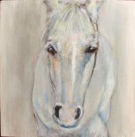 Horse of Course by Denise Minnerly