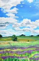 Lavender  Field,  Cloudy day by Caroline Duggan