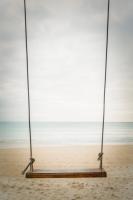 Beach Swing by Peter Mendelson