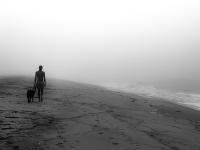 Into The Mist by Nancy Breakstone