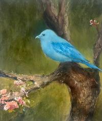 Carole McClintock