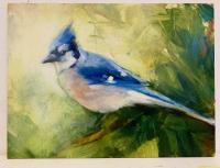 Blue Jay by Maya Santangelo