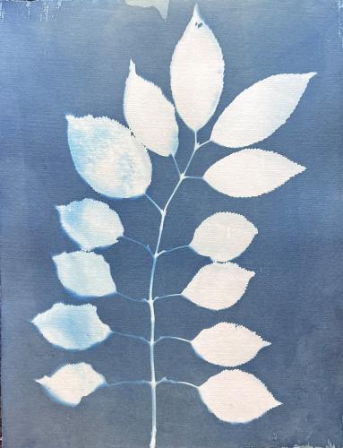 Single Branch by Jane Cooper, 1. Featured Artist