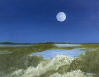 Blue Moon by Barbara Hamill