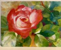 L A Rose by Maya Santangelo